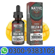 Native Extracts Warrior Delta8 4 1 CBG Tincture 3000mg Price In Pakistan